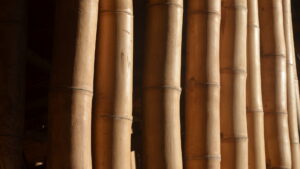Guadua-Bambus