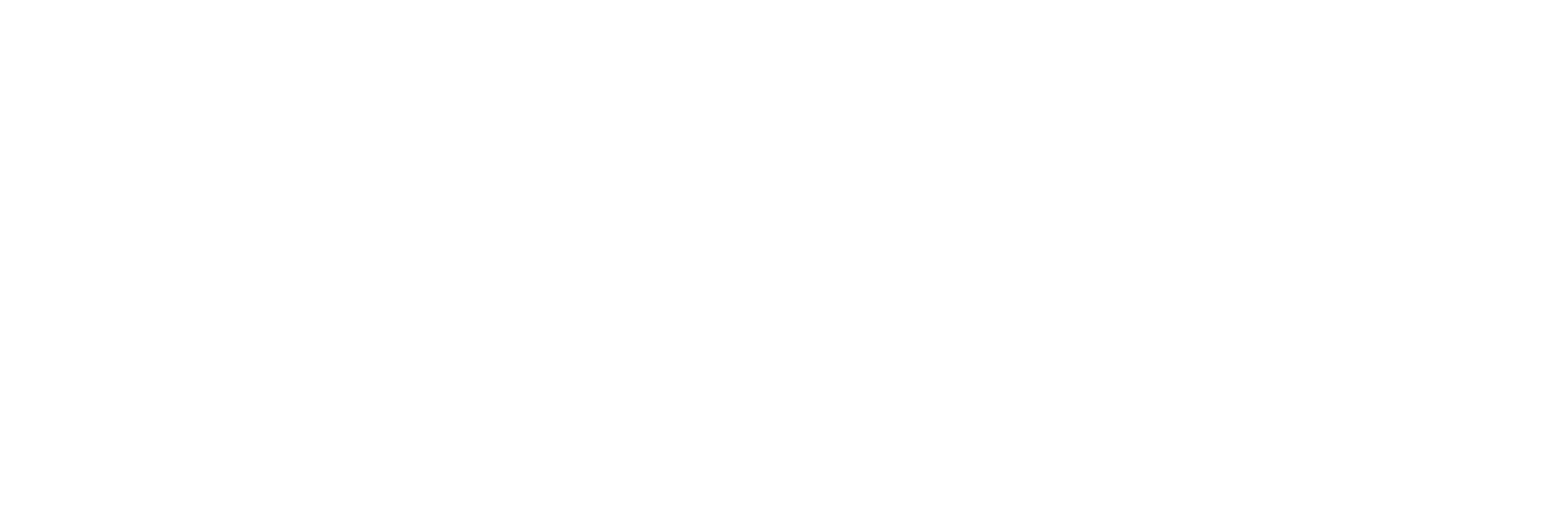 bamboo-age.com